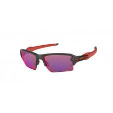 Oakley FLAK 2.0 XL 9188 04 Prizm Road