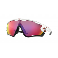 Oakley  JAWBREAKER 9290 05 Prizm Road